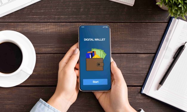 Layanan Dompet Digital Lokal Alami Lonjakan Pengguna Aktif