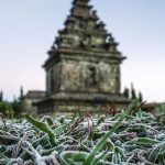 Kompleks Candi Arjuna Dieng Putih Total Akibat Embun Upas