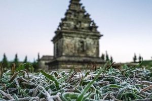Kompleks Candi Arjuna Dieng Putih Total Akibat Embun Upas