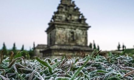 Kompleks Candi Arjuna Dieng Putih Total Akibat Embun Upas