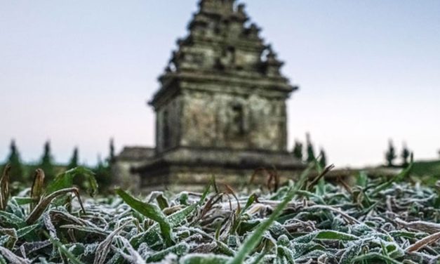 Kompleks Candi Arjuna Dieng Putih Total Akibat Embun Upas
