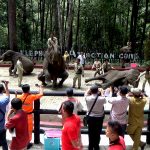 Mengenal Gajah Sumatra: Edukasi Kebun Binatang Kepada Siswa
