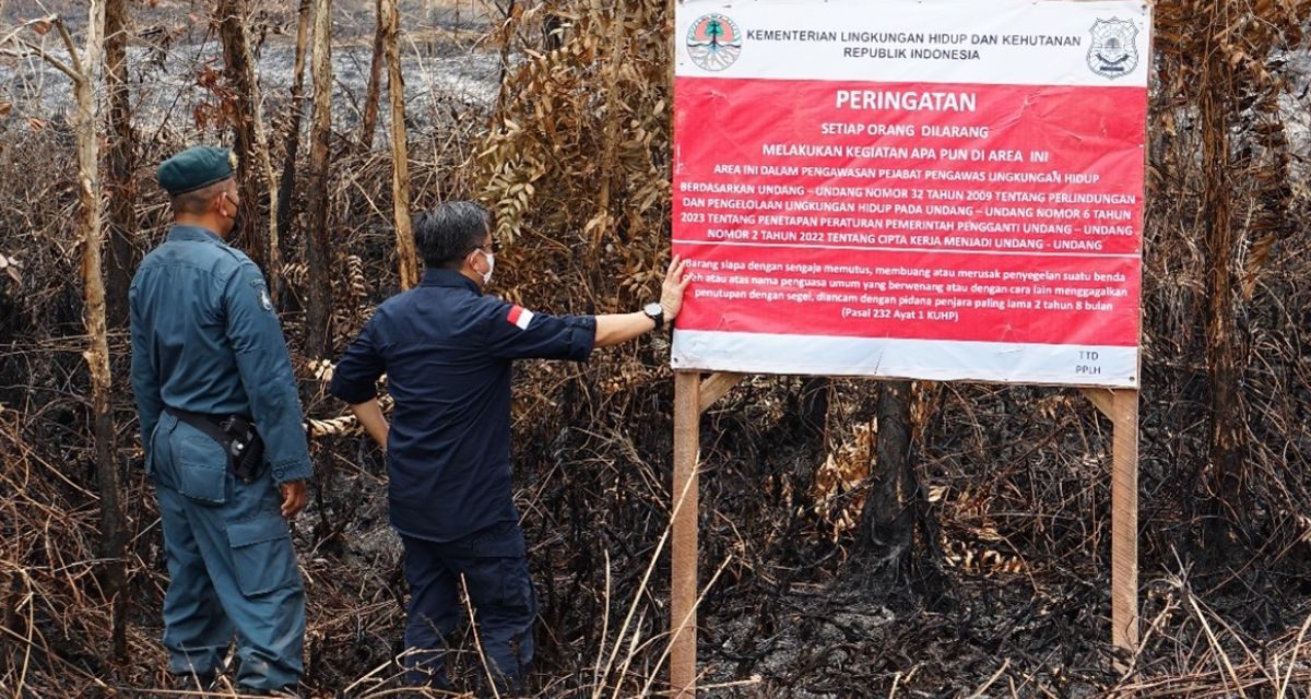 KLH Segel Lahan Perkebunan Terbakar Di Sumatra Selatan