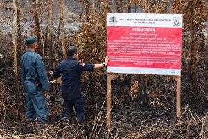 KLH Segel Lahan Perkebunan Terbakar Di Sumatra Selatan