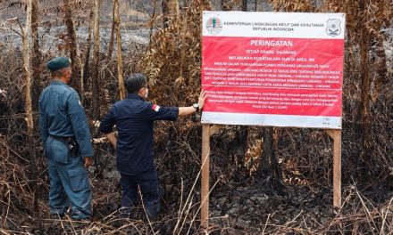 KLH Segel Lahan Perkebunan Terbakar Di Sumatra Selatan