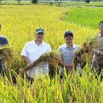 Kementan Rilis Varietas Padi Unggul Tahan Genangan Air